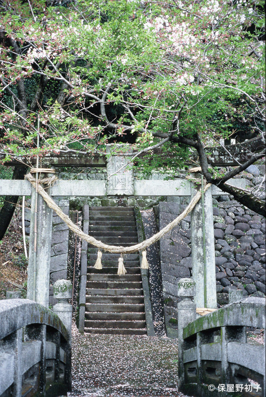瀬田神社。手前は井手に架かる橋。